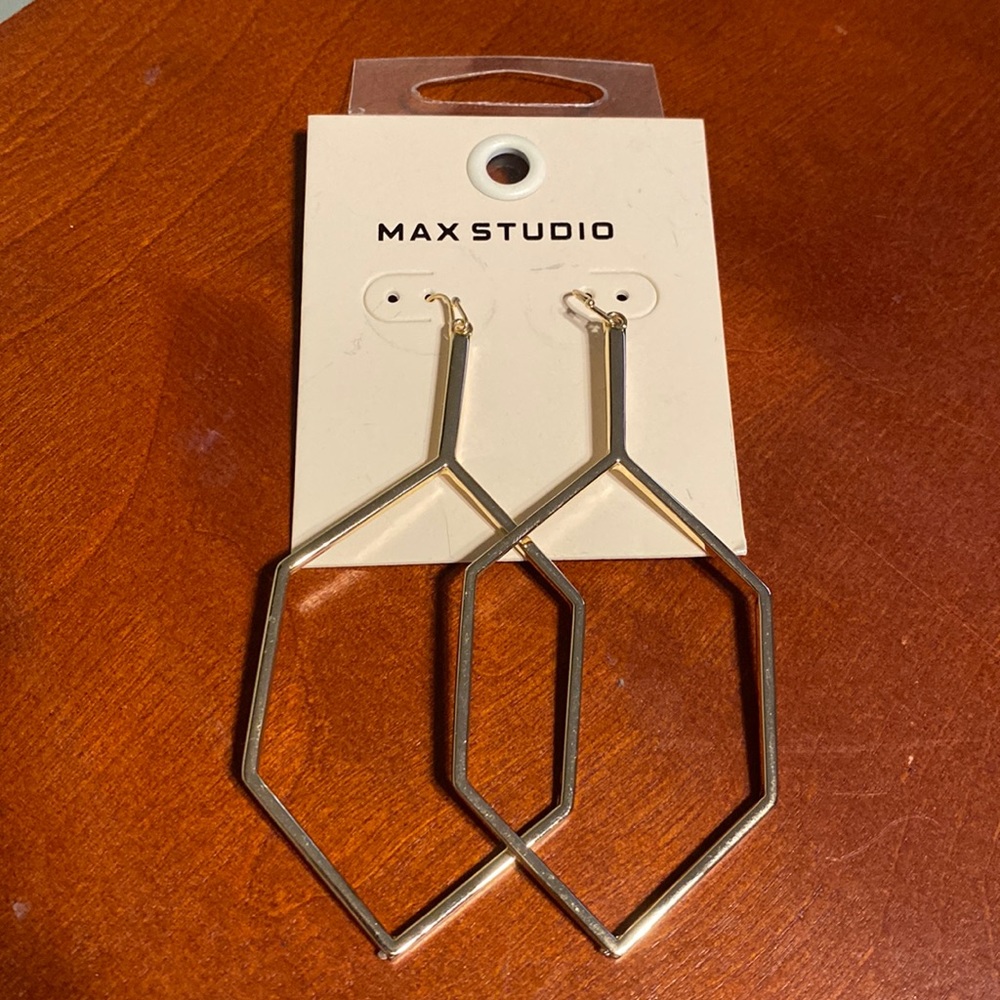 Max Studio ~ Drop Earrings
